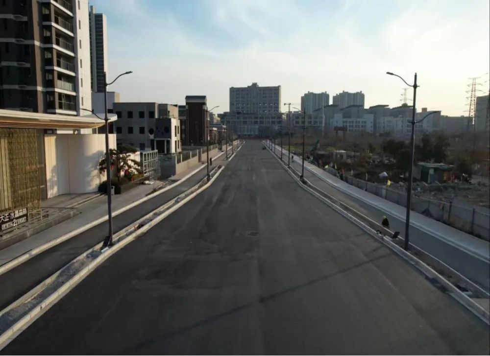 水杉路（梧桐街-冬青街）